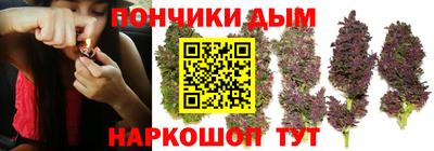 гидропоника Донской