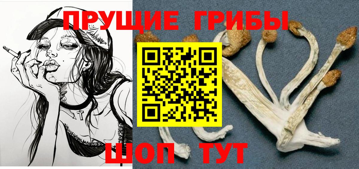 продажа наркотиков  Вход с VPN  Клинцы  Псилоцибиновые грибы GOLDEN TEACHER 